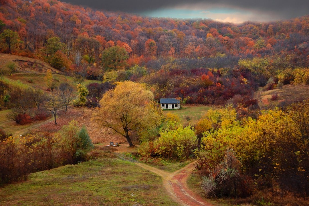 Best Time To Visit Moldova