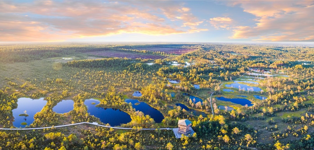 Things To Know About Estonia