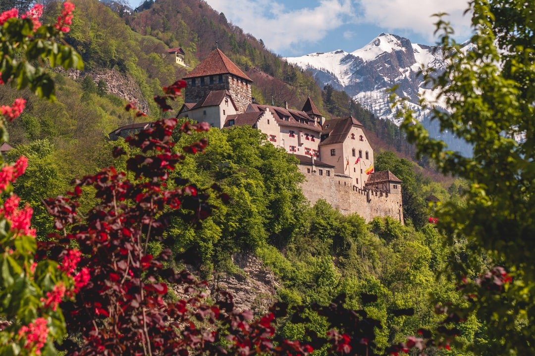 Things To Know About Liechtenstein